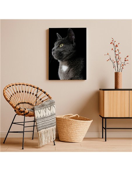 Cuadro gato gris elegante 50x35cm lienzografía - canvas