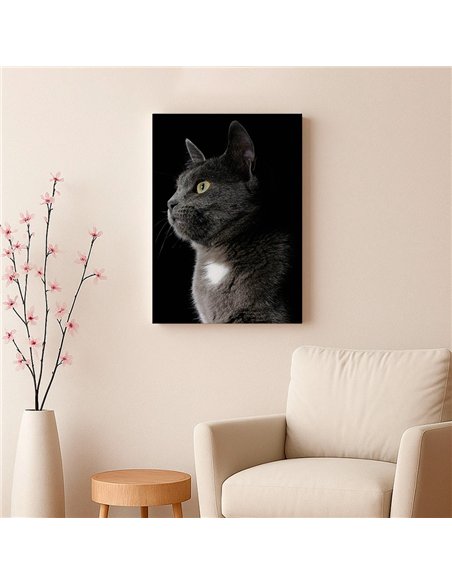 Cuadro gato gris elegante 50x35cm lienzografía - canvas