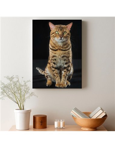 Cuadro gato bengala real 50x35cm lienzografía - canvas
