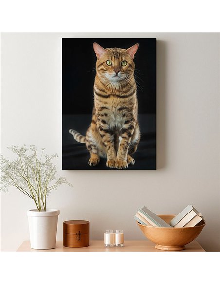 Cuadro gato bengala real 50x35cm lienzografía - canvas