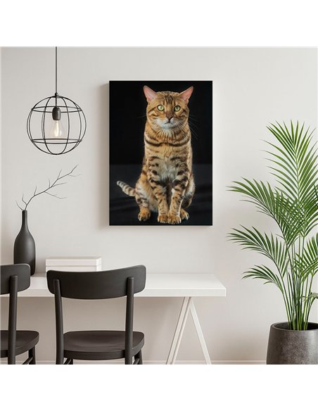 Cuadro gato bengala real 50x35cm lienzografía - canvas