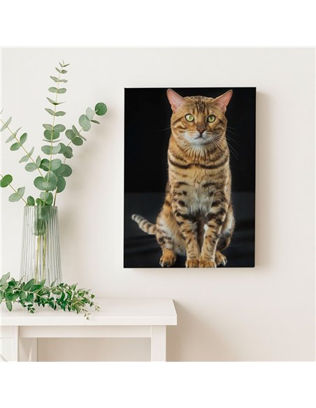 Cuadro gato bengala real 50x35cm lienzografía - canvas
