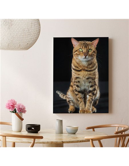 Cuadro gato bengala real 50x35cm lienzografía - canvas