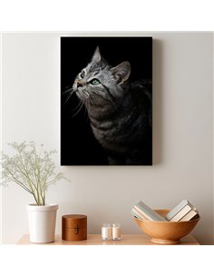 Cuadro gato gris mirada zen 50x35cm lienzografía - canvas 2