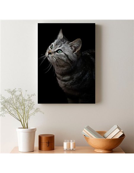 Cuadro gato gris mirada zen 50x35cm lienzografía - canvas