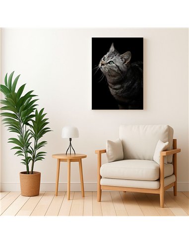 Cuadro gato gris mirada zen 50x35cm lienzografía - canvas