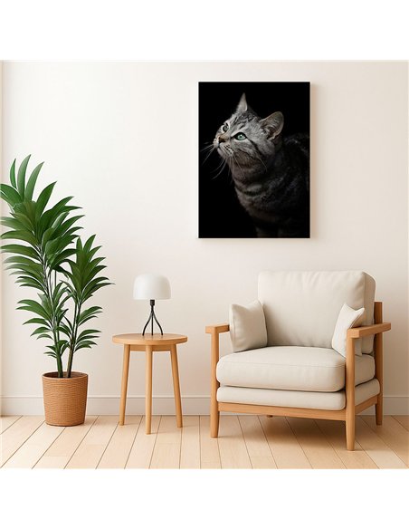 Cuadro gato gris mirada zen 50x35cm lienzografía - canvas