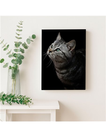 Cuadro gato gris mirada zen 50x35cm lienzografía - canvas