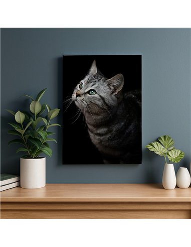 Cuadro gato gris mirada zen 50x35cm lienzografía - canvas