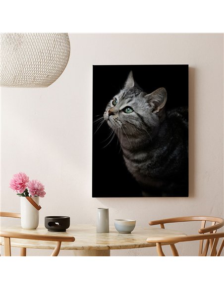 Cuadro gato gris mirada zen 50x35cm lienzografía - canvas