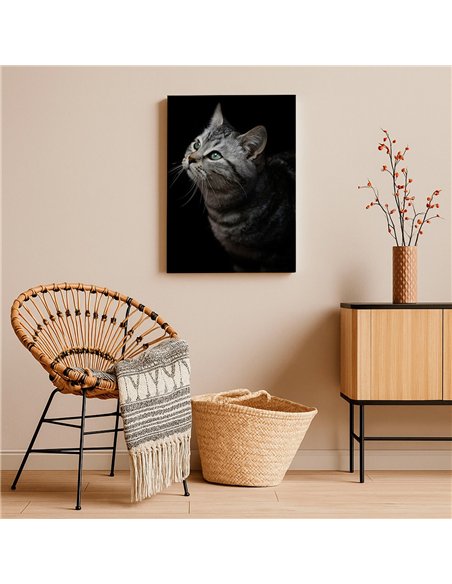 Cuadro gato gris mirada zen 50x35cm lienzografía - canvas