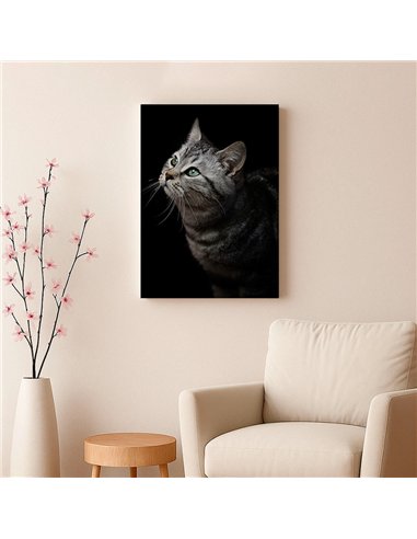 Cuadro gato gris mirada zen 50x35cm lienzografía - canvas