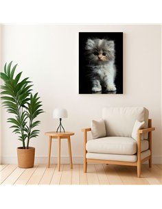 Cuadro gatito tierno esponjoso 50x35cm lienzografía - canvas 2