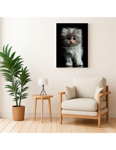 Cuadro gatito tierno esponjoso 50x35cm lienzografía - canvas