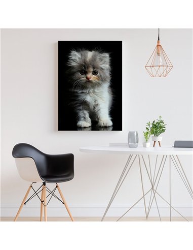 Cuadro gatito tierno esponjoso 50x35cm lienzografía - canvas