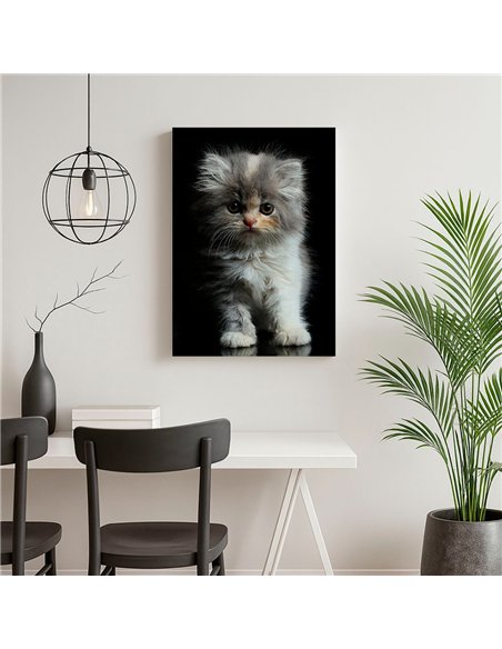Cuadro gatito tierno esponjoso 50x35cm lienzografía - canvas