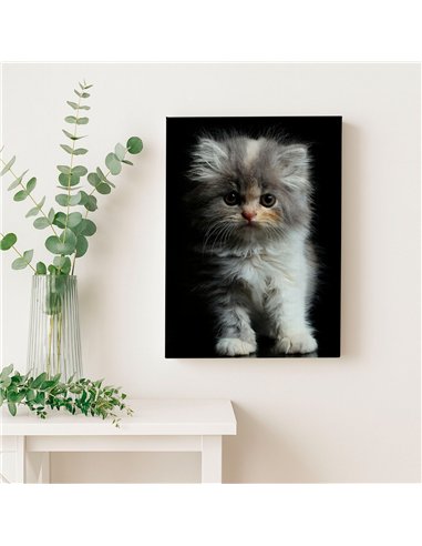 Cuadro gatito tierno esponjoso 50x35cm lienzografía - canvas