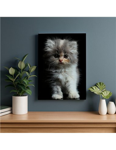 Cuadro gatito tierno esponjoso 50x35cm lienzografía - canvas