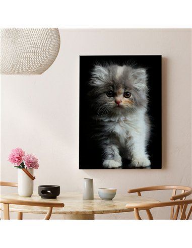 Cuadro gatito tierno esponjoso 50x35cm lienzografía - canvas