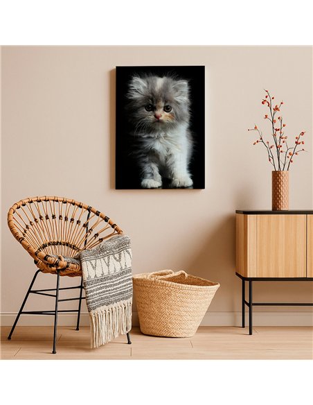 Cuadro gatito tierno esponjoso 50x35cm lienzografía - canvas