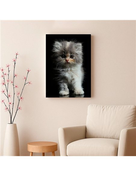 Cuadro gatito tierno esponjoso 50x35cm lienzografía - canvas