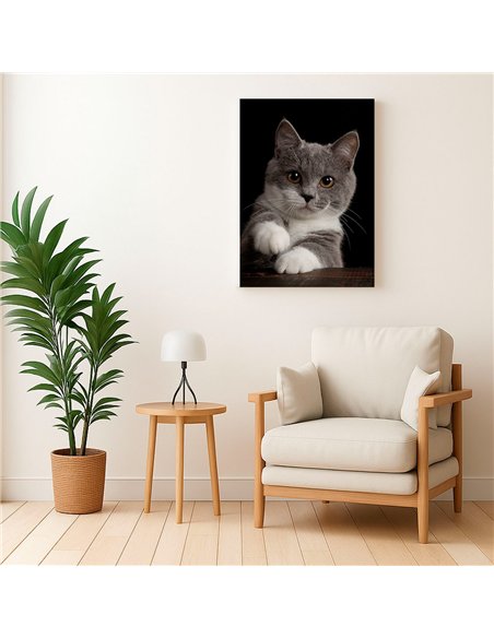 Cuadro gato gris tierno 50x35cm lienzografía - canvas