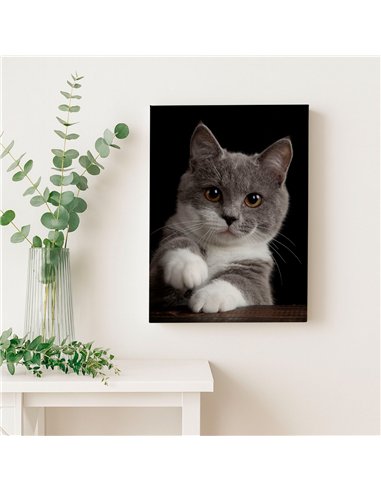 Cuadro gato gris tierno 50x35cm lienzografía - canvas