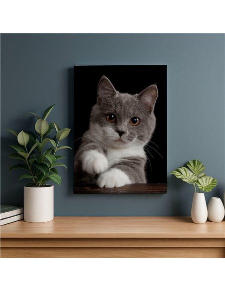 Cuadro gato gris tierno 50x35cm lienzografía - canvas