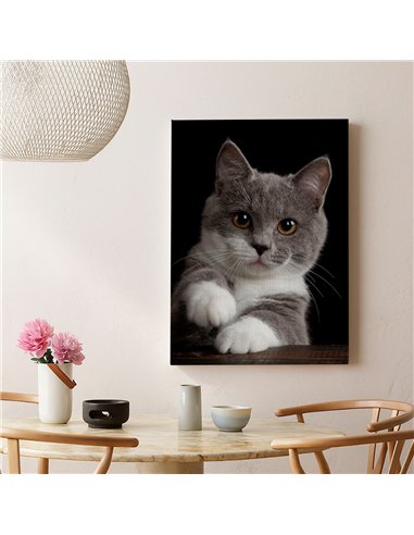 Cuadro gato gris tierno 50x35cm lienzografía - canvas