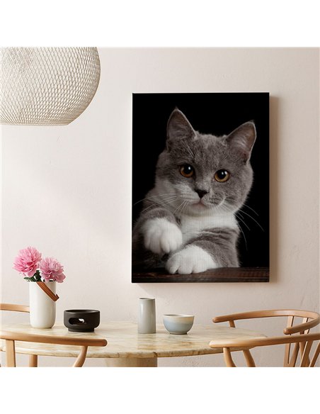 Cuadro gato gris tierno 50x35cm lienzografía - canvas