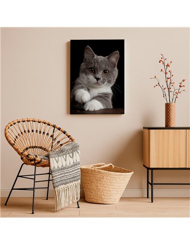 Cuadro gato gris tierno 50x35cm lienzografía - canvas