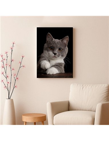 Cuadro gato gris tierno 50x35cm lienzografía - canvas