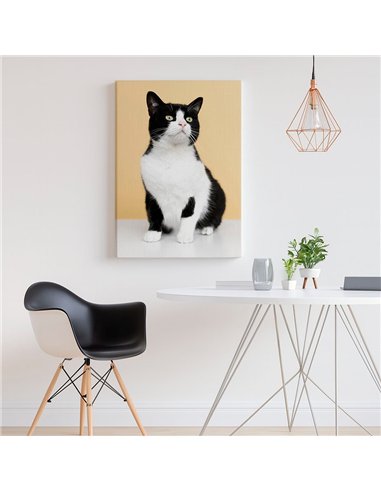 Cuadro gato blanco y negro 50x35cm lienzografía - canvas