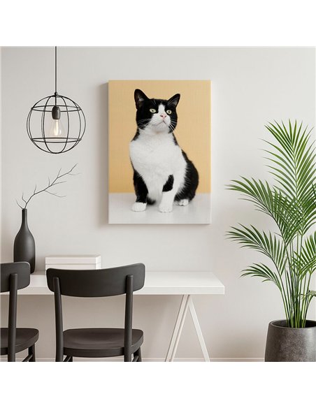 Cuadro gato blanco y negro 50x35cm lienzografía - canvas
