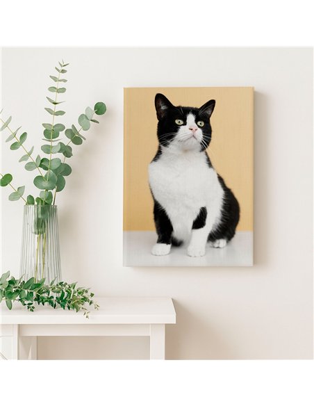 Cuadro gato blanco y negro 50x35cm lienzografía - canvas