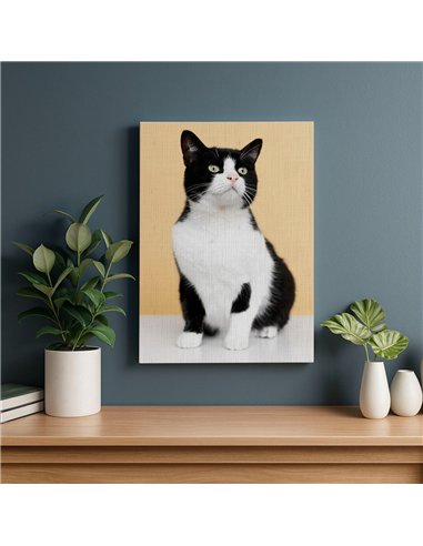 Cuadro gato blanco y negro 50x35cm lienzografía - canvas