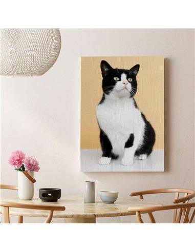 Cuadro gato blanco y negro 50x35cm lienzografía - canvas