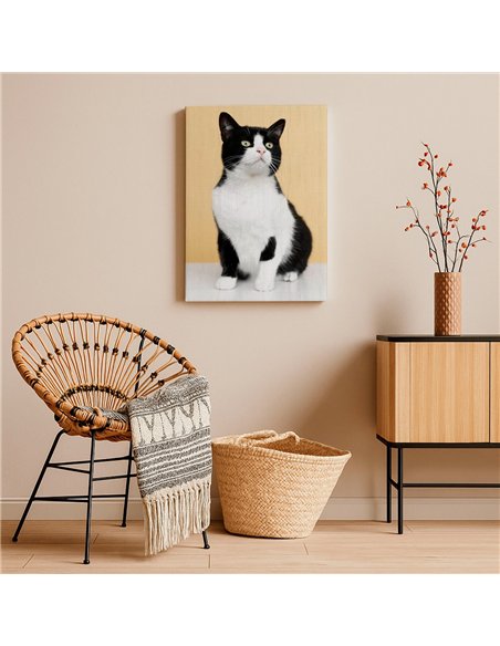 Cuadro gato blanco y negro 50x35cm lienzografía - canvas