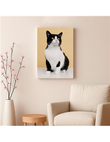 Cuadro gato blanco y negro 50x35cm lienzografía - canvas