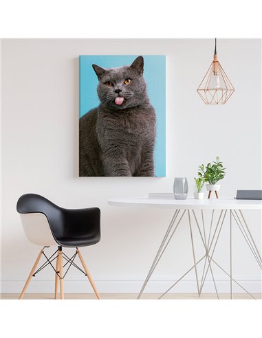 Cuadro gato lengua afuera 50x35cm lienzografía - canvas
