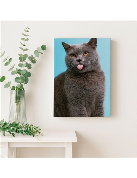 Cuadro gato lengua afuera 50x35cm lienzografía - canvas