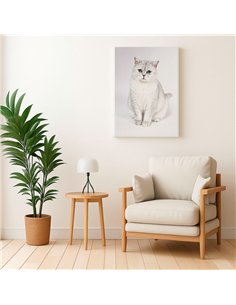 Cuadro gato blanco elegante 50x35cm lienzografía - canvas 2