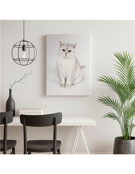 Cuadro gato blanco elegante 50x35cm lienzografía - canvas