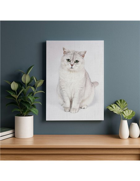 Cuadro gato blanco elegante 50x35cm lienzografía - canvas