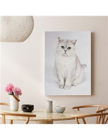 Cuadro gato blanco elegante 50x35cm lienzografía - canvas