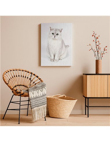 Cuadro gato blanco elegante 50x35cm lienzografía - canvas
