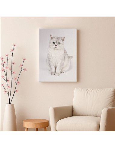 Cuadro gato blanco elegante 50x35cm lienzografía - canvas