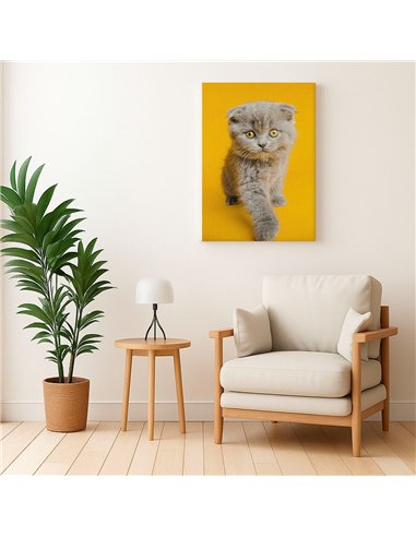 Cuadro gato ojos dorados 50x35cm lienzografía - canvas
