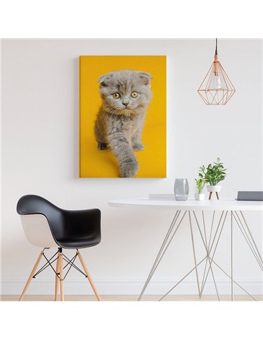 Cuadro gato ojos dorados 50x35cm lienzografía - canvas