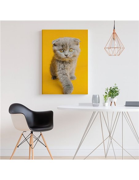 Cuadro gato ojos dorados 50x35cm lienzografía - canvas